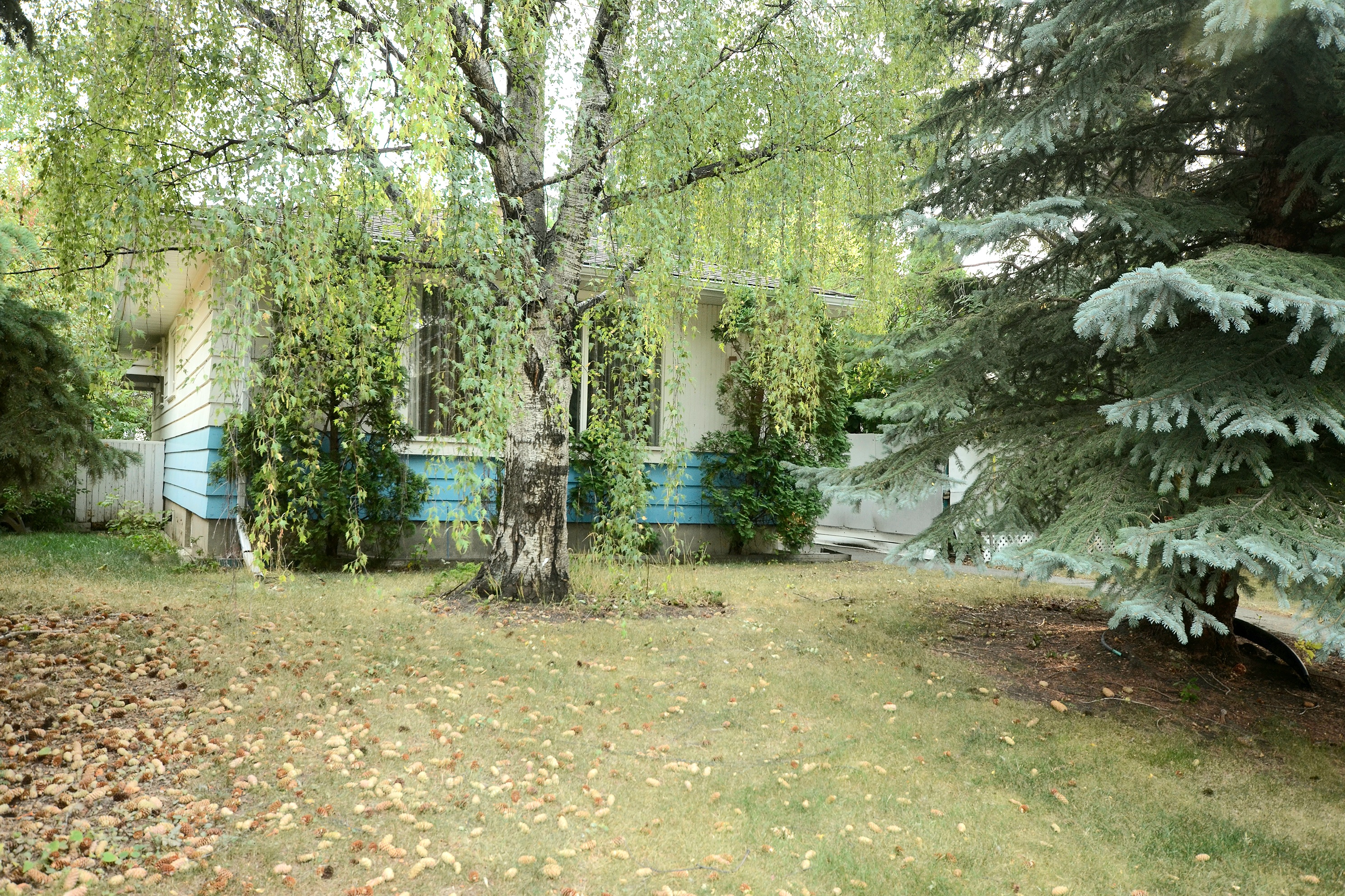 Calgary Fixer Uppers
